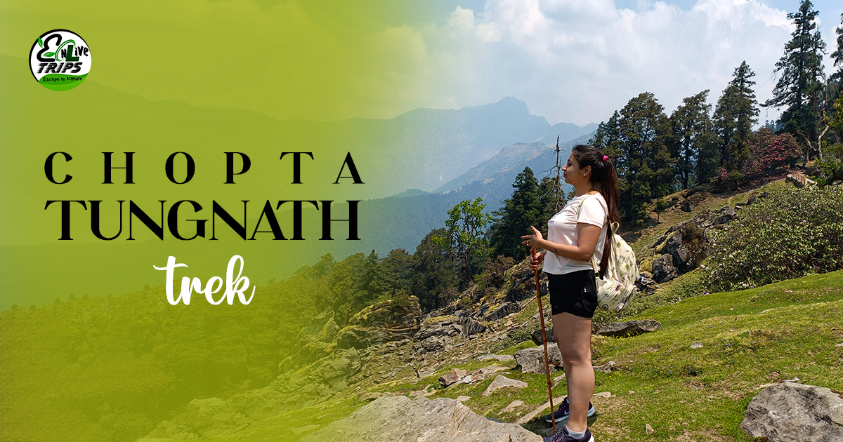 Chandrashila trek 